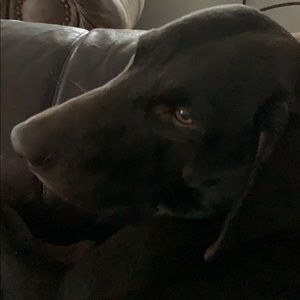 Meet your Posher, Stacy